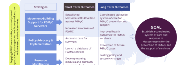 The Strategy Behind Hollistic Organized Partnership to End FGM/C in MA’s Coalition Work (HOPE MA)